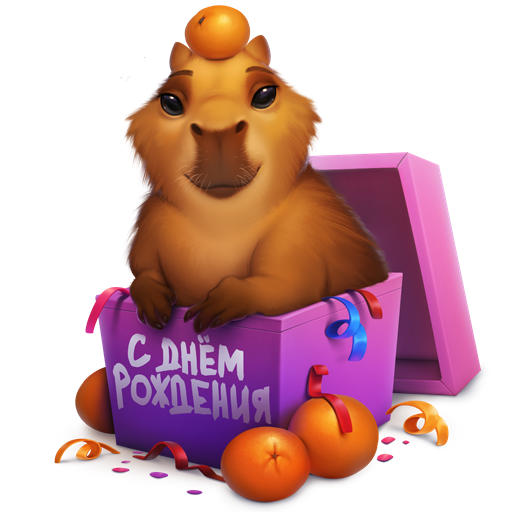 6 мая 2024 г, 00:00 gift