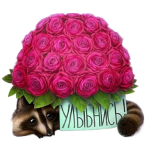 gift